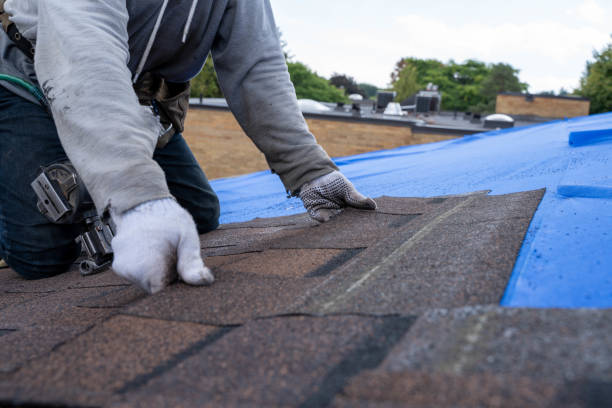 Professional Roofing Contractor in Hazel Park, MI