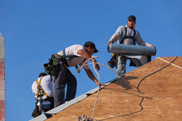 Best Affordable Roof Replacement  in Hazel Park, MI