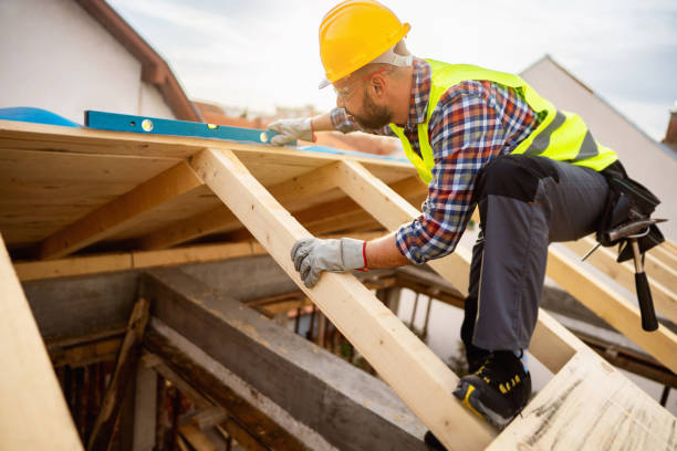 Best Metal Roofing Contractor  in Hazel Park, MI