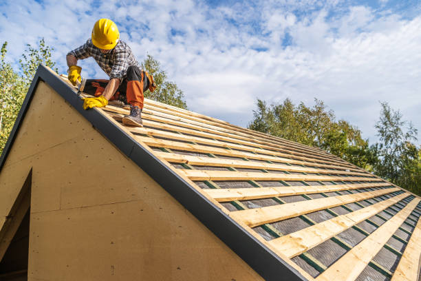 Best Storm Damage Roof Repair  in Hazel Park, MI