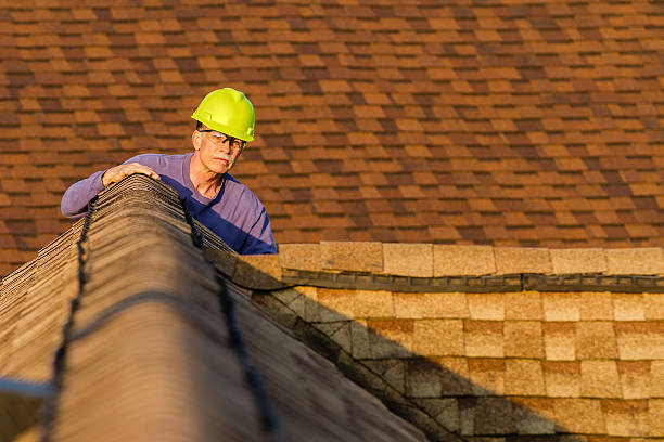 Best Roof Restoration Services  in Hazel Park, MI