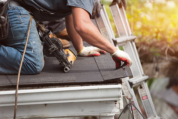 Best New Roof Installation  in Hazel Park, MI