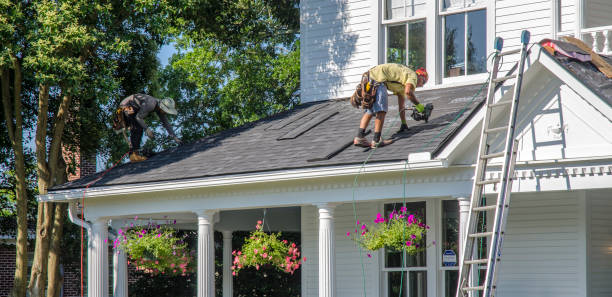 Best Residential Roofing Contractor  in Hazel Park, MI