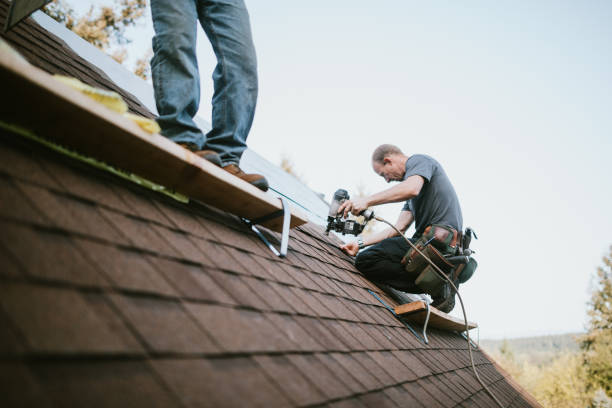 Best Commercial Roof Installation  in Hazel Park, MI