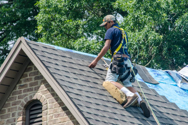 Best Roofing Contractor Near Me  in Hazel Park, MI
